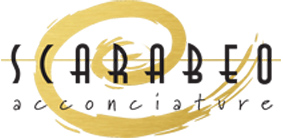 logo main